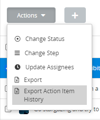 Action Item History Export.png